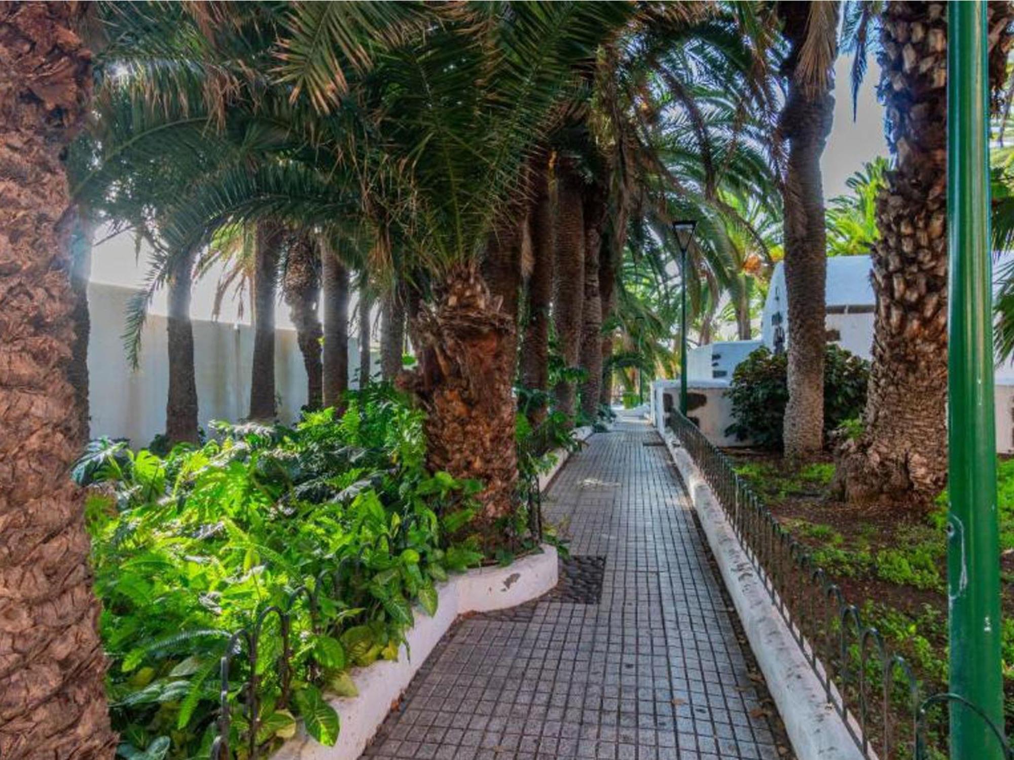 Live Puerto Valle Luz Пуэрто-де-ла-Крус Экстерьер фото